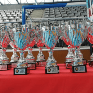 trophies 1 (1920 x 1275)
